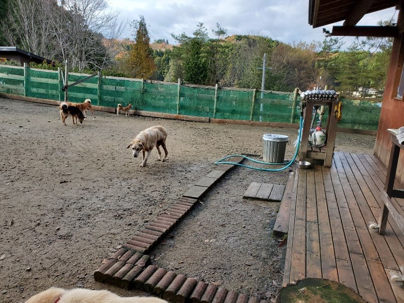 f:id:roukenhome-ann:20191203115227j:plain