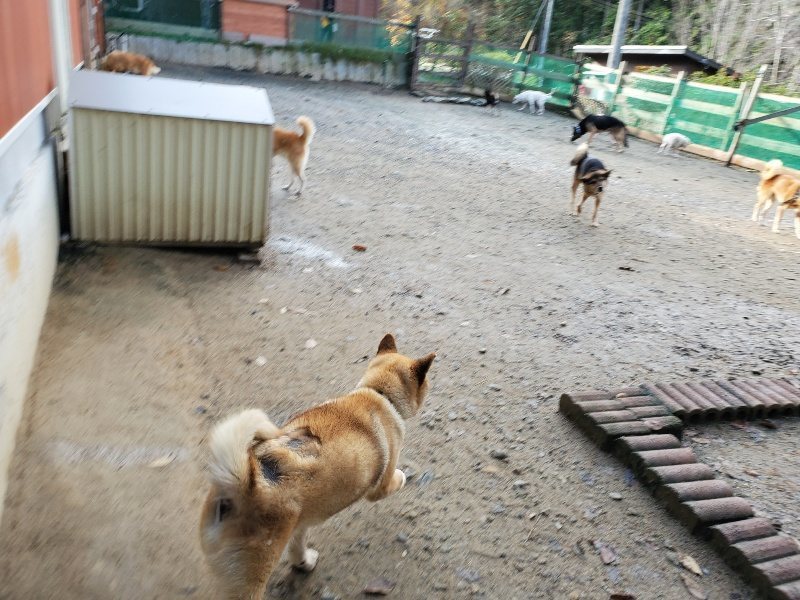 f:id:roukenhome-ann:20191203115421j:plain