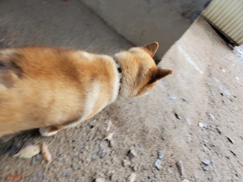 f:id:roukenhome-ann:20191203115436j:plain
