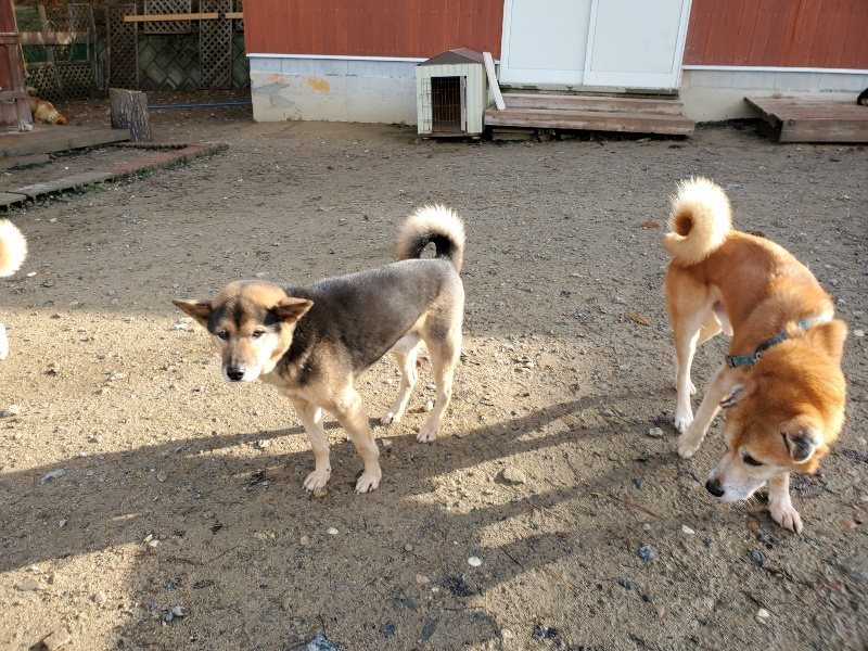 f:id:roukenhome-ann:20191203115657j:plain