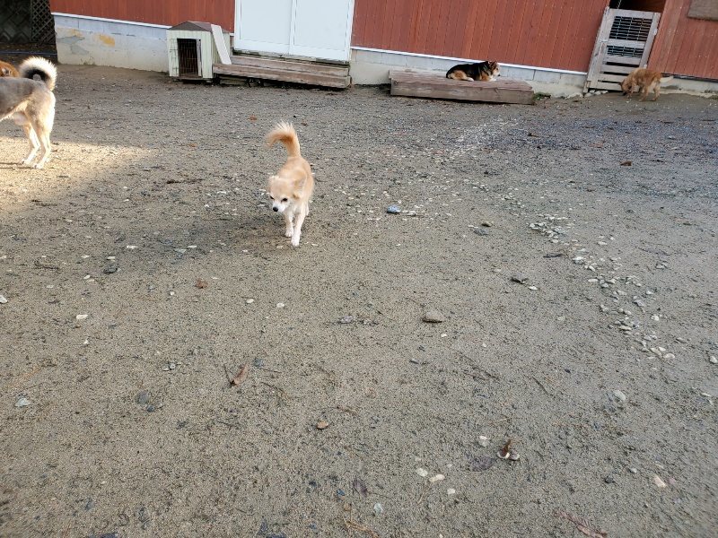 f:id:roukenhome-ann:20191203115929j:plain