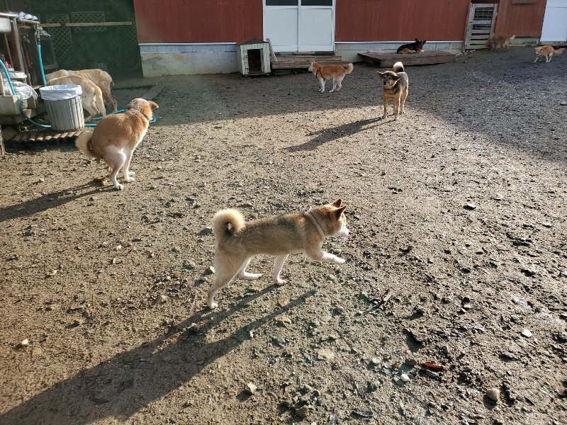 f:id:roukenhome-ann:20191203120101j:plain