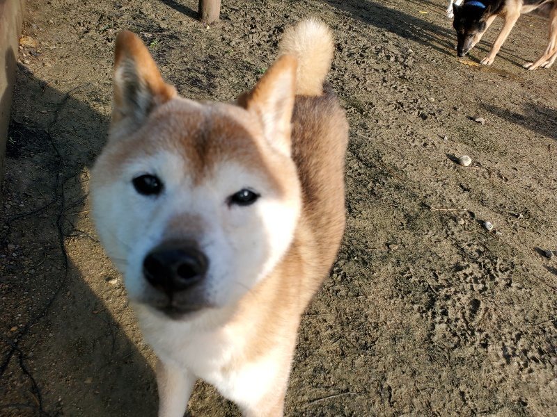 f:id:roukenhome-ann:20191203120131j:plain