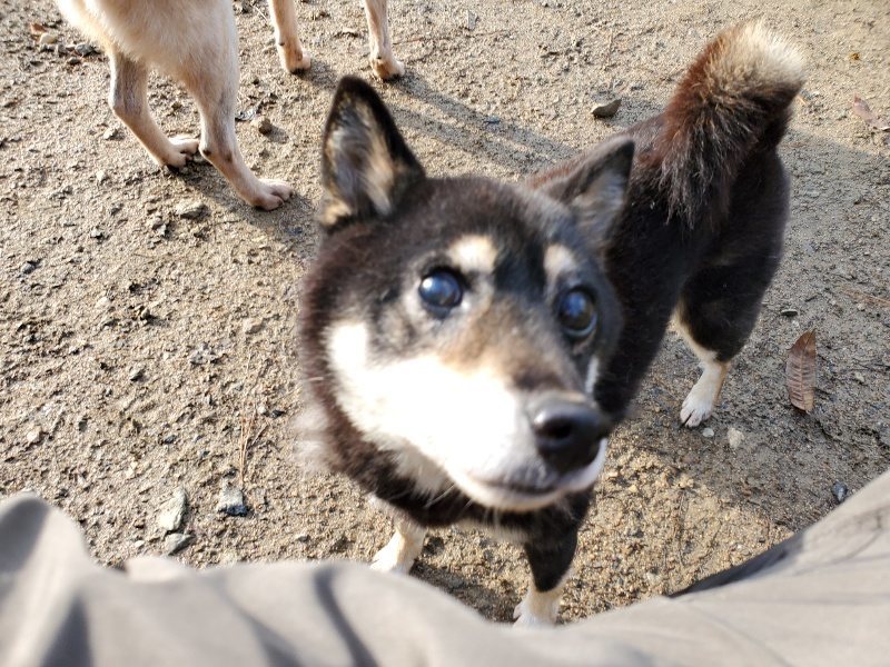 f:id:roukenhome-ann:20191203120152j:plain