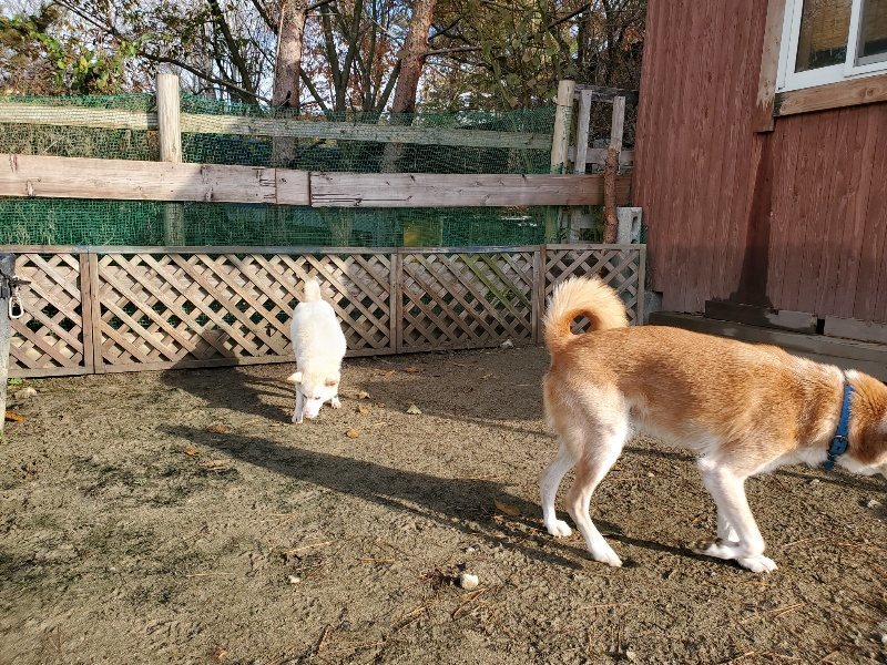 f:id:roukenhome-ann:20191203120208j:plain