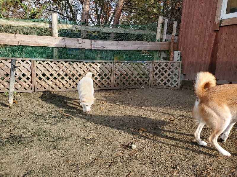f:id:roukenhome-ann:20191203120238j:plain