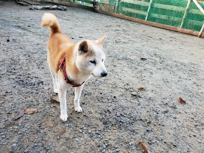 f:id:roukenhome-ann:20191203120407j:plain