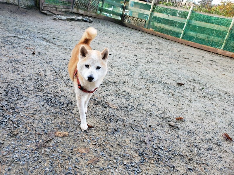 f:id:roukenhome-ann:20191203120428j:plain