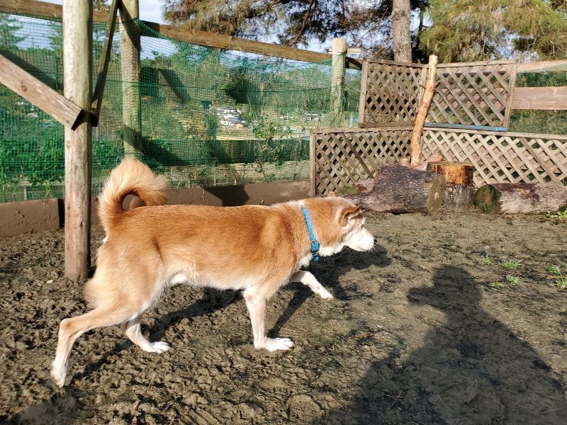 f:id:roukenhome-ann:20191203120457j:plain