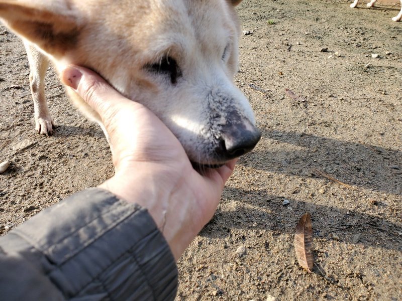 f:id:roukenhome-ann:20191203120510j:plain