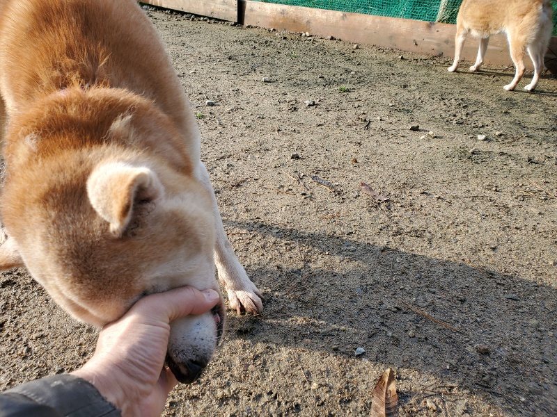f:id:roukenhome-ann:20191203120522j:plain