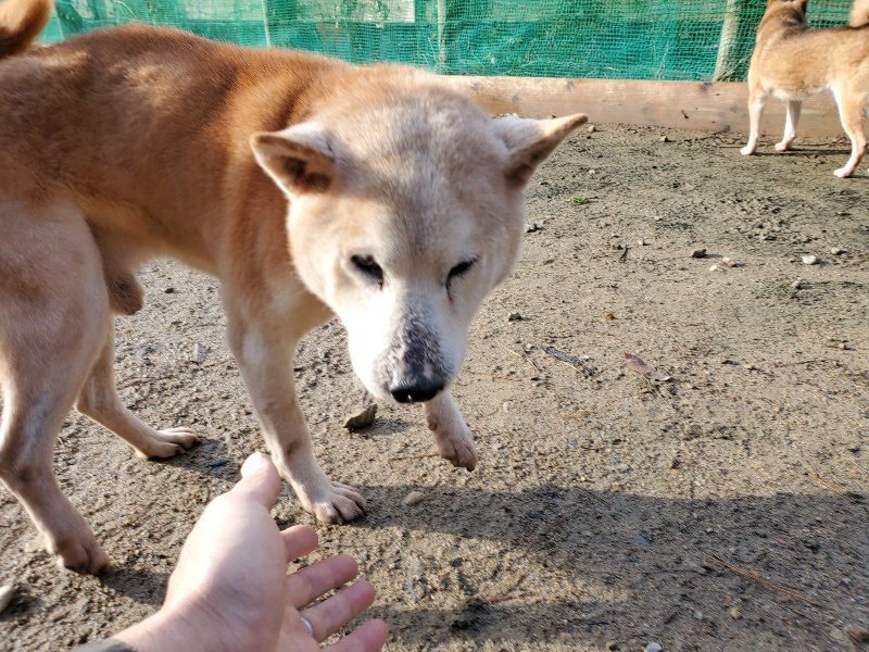f:id:roukenhome-ann:20191203120533j:plain