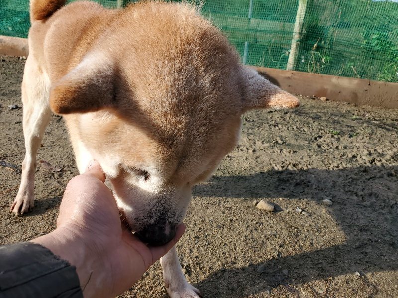 f:id:roukenhome-ann:20191203120632j:plain