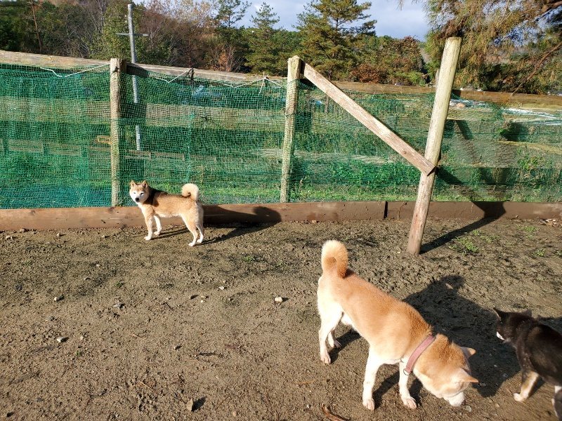 f:id:roukenhome-ann:20191203120707j:plain