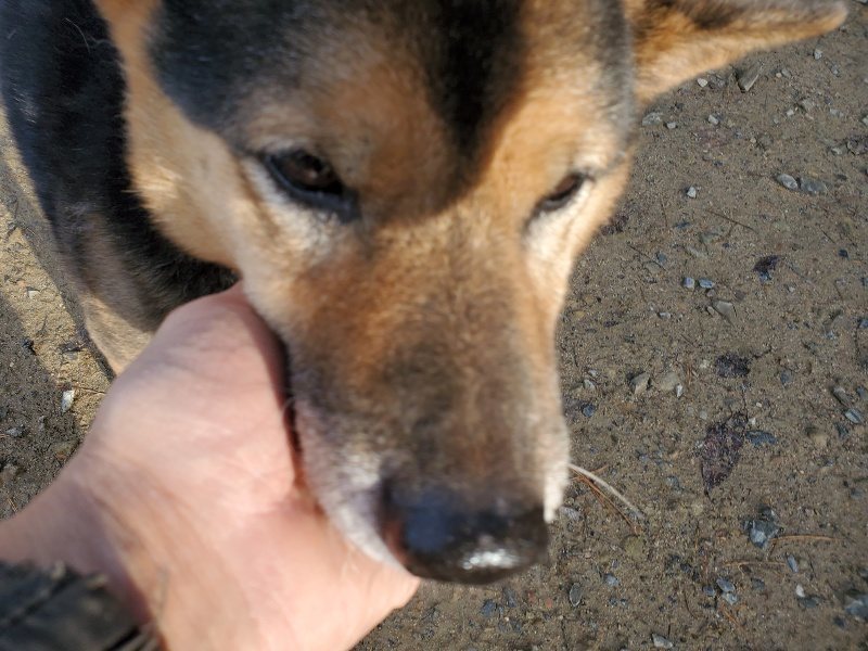 f:id:roukenhome-ann:20191203120820j:plain