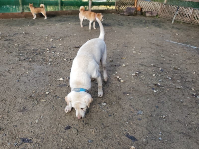 f:id:roukenhome-ann:20191203120905j:plain