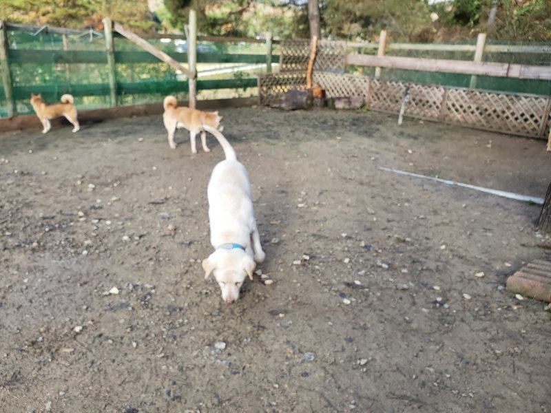 f:id:roukenhome-ann:20191203120939j:plain