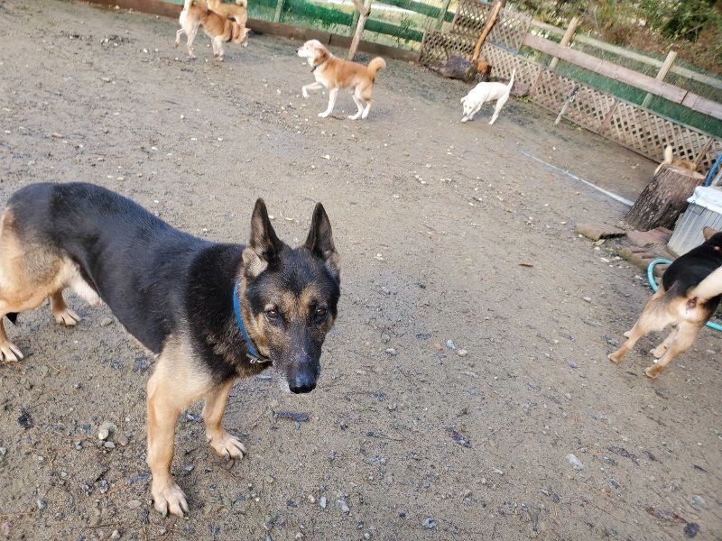 f:id:roukenhome-ann:20191203121006j:plain