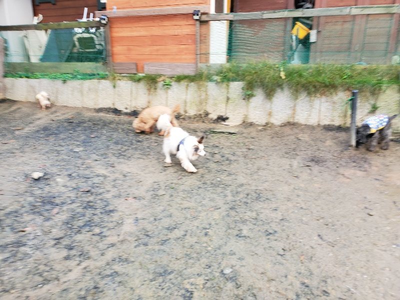 f:id:roukenhome-ann:20191203121148j:plain