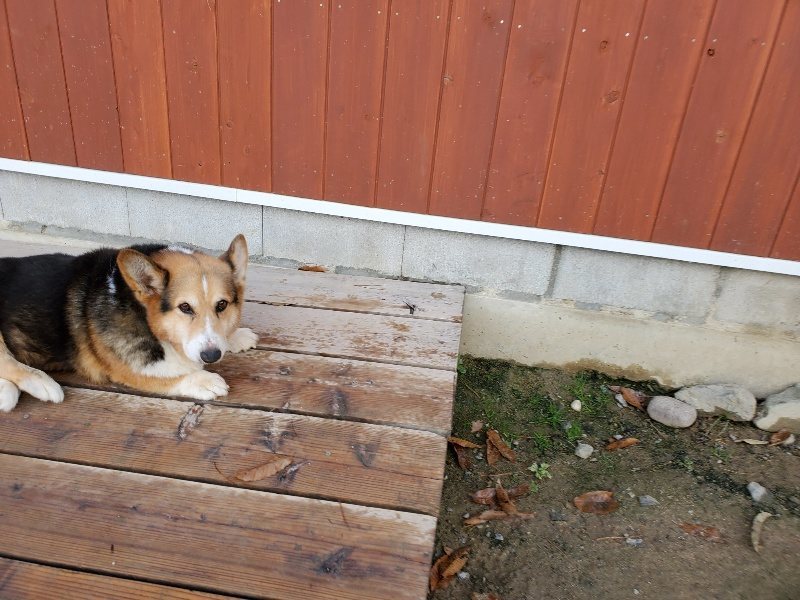 f:id:roukenhome-ann:20191203121341j:plain
