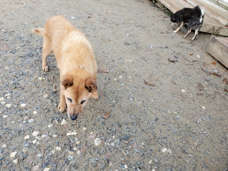 f:id:roukenhome-ann:20191203121356j:plain