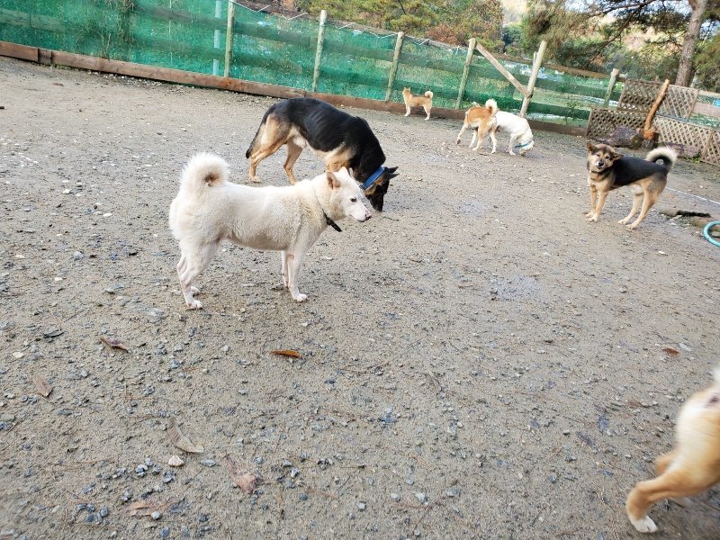 f:id:roukenhome-ann:20191203121517j:plain
