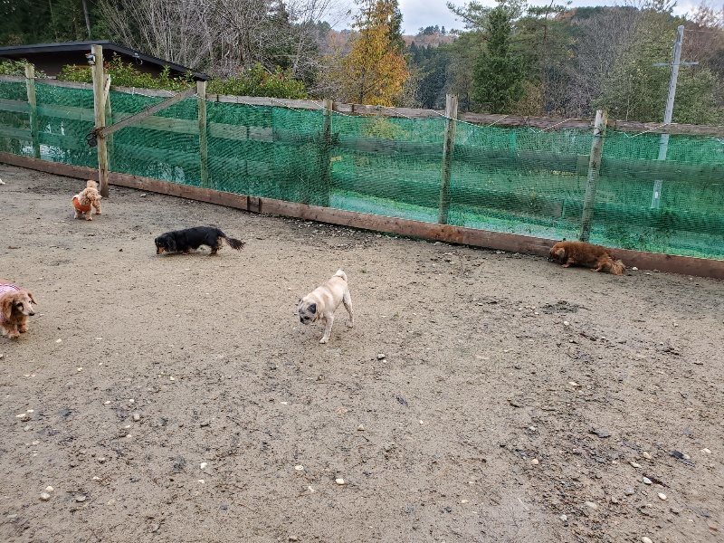 f:id:roukenhome-ann:20191203121641j:plain