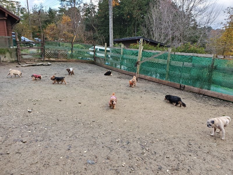 f:id:roukenhome-ann:20191203121650j:plain