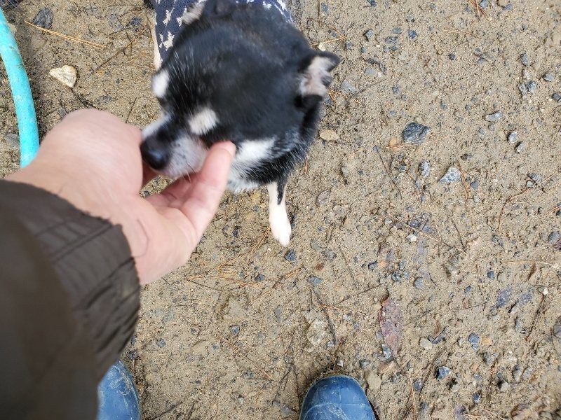 f:id:roukenhome-ann:20191203121702j:plain
