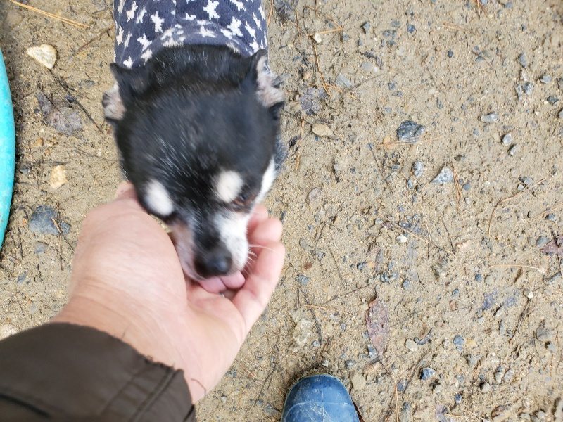 f:id:roukenhome-ann:20191203121722j:plain