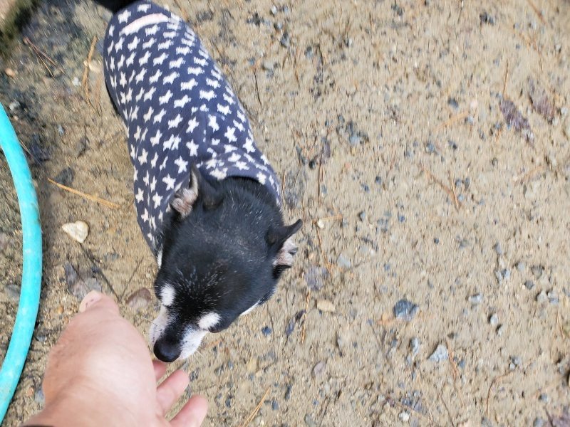 f:id:roukenhome-ann:20191203121732j:plain