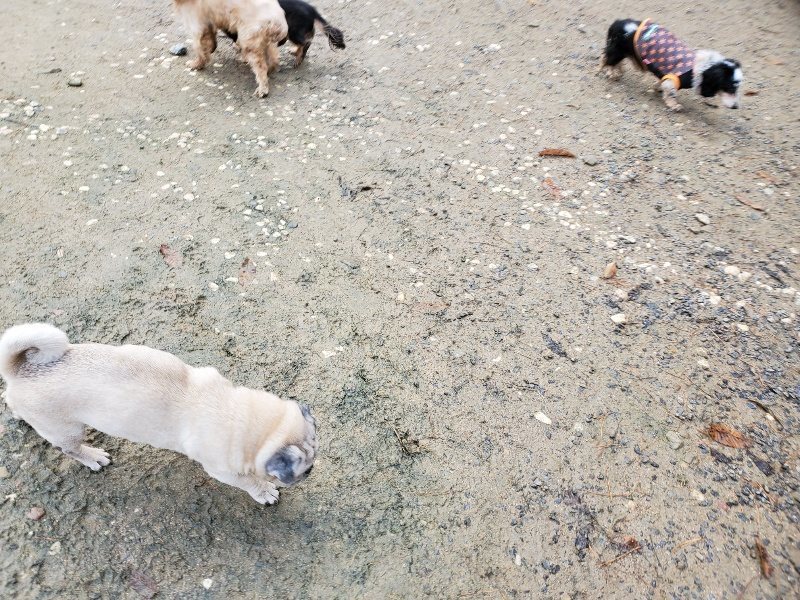f:id:roukenhome-ann:20191203121743j:plain