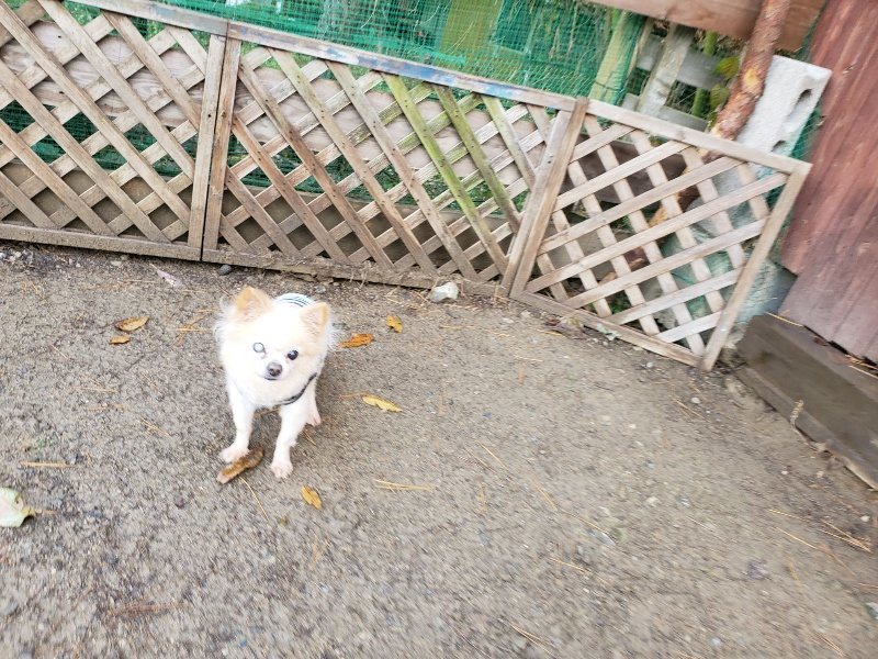 f:id:roukenhome-ann:20191203122012j:plain