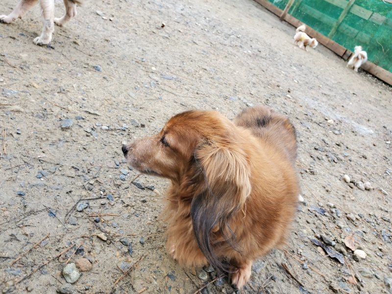 f:id:roukenhome-ann:20191203122033j:plain