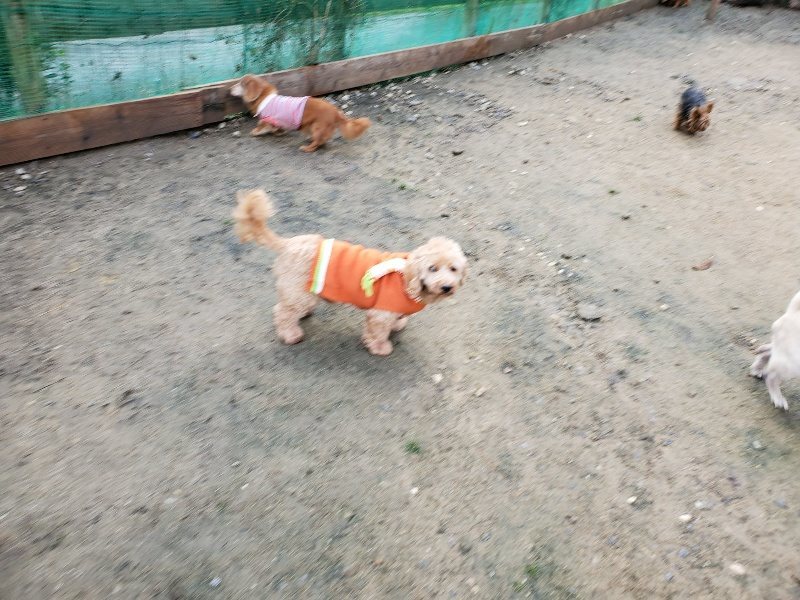 f:id:roukenhome-ann:20191203122121j:plain