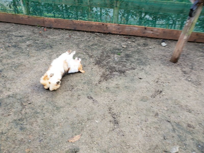 f:id:roukenhome-ann:20191203122132j:plain
