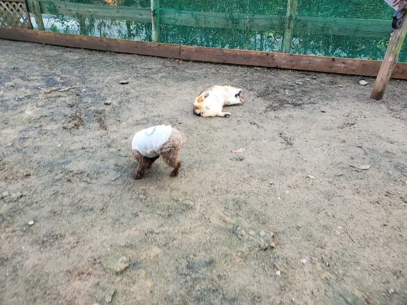 f:id:roukenhome-ann:20191203122147j:plain