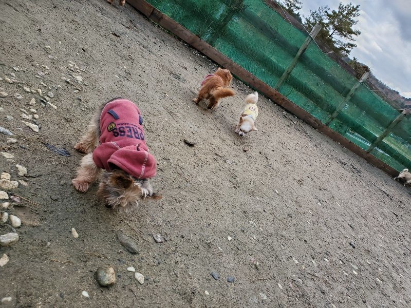 f:id:roukenhome-ann:20191203122252j:plain