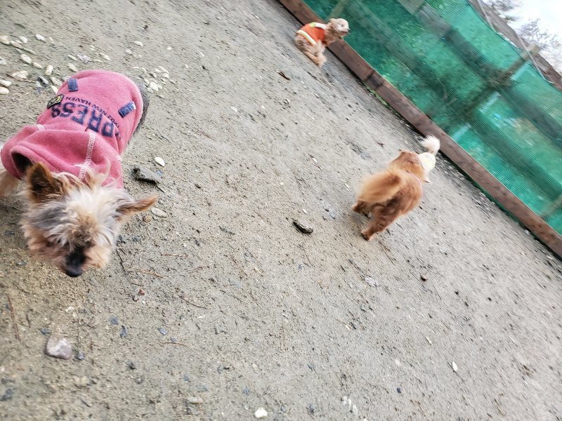 f:id:roukenhome-ann:20191203122307j:plain