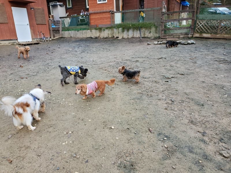f:id:roukenhome-ann:20191203122445j:plain