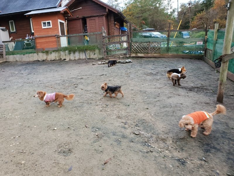 f:id:roukenhome-ann:20191203122513j:plain