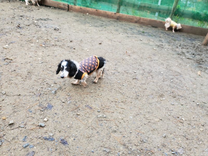 f:id:roukenhome-ann:20191203122718j:plain