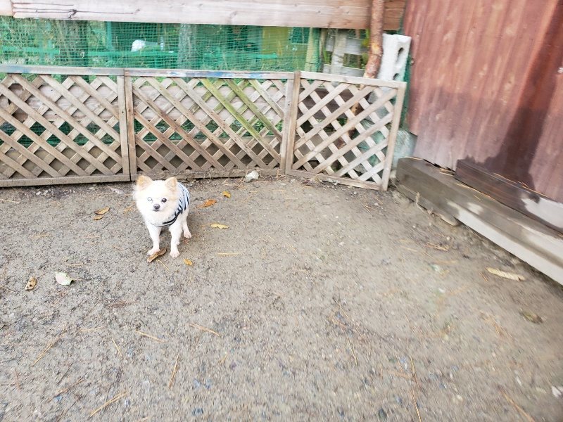 f:id:roukenhome-ann:20191203122838j:plain