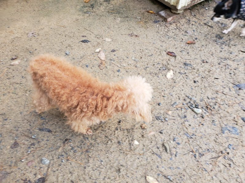f:id:roukenhome-ann:20191203123035j:plain