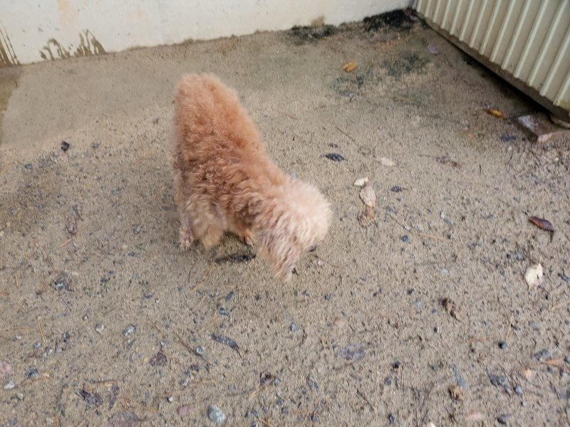 f:id:roukenhome-ann:20191203123046j:plain