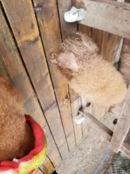 f:id:roukenhome-ann:20191203123100j:plain