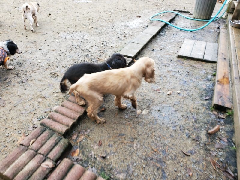 f:id:roukenhome-ann:20191203123159j:plain