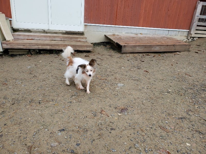 f:id:roukenhome-ann:20191203130543j:plain f:id:roukenhome-ann:20191203130543j:plain