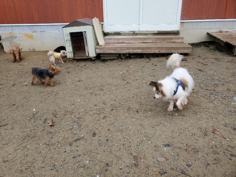 f:id:roukenhome-ann:20191203130550j:plain f:id:roukenhome-ann:20191203130550j:plain