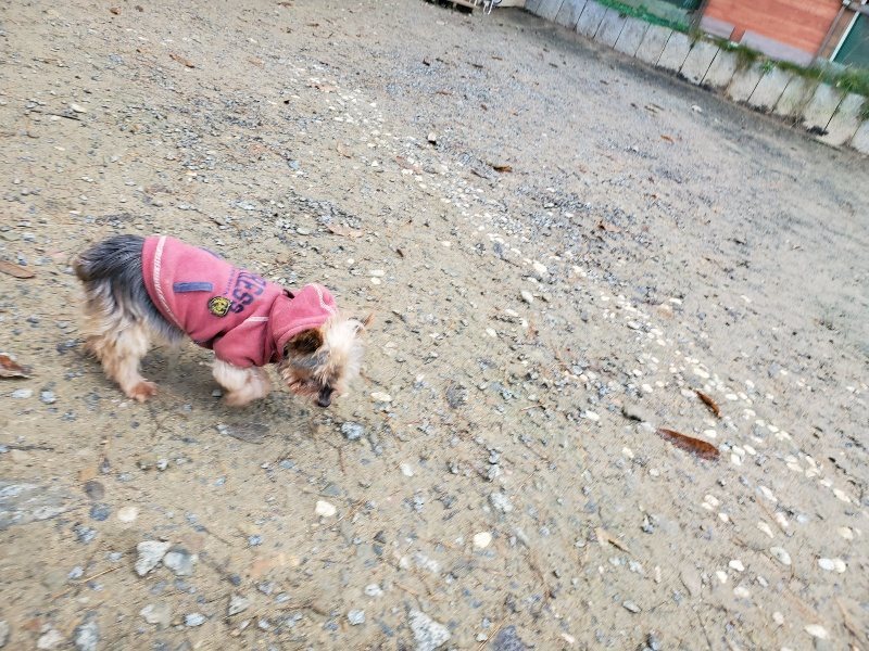 f:id:roukenhome-ann:20191203130604j:plain f:id:roukenhome-ann:20191203130604j:plain